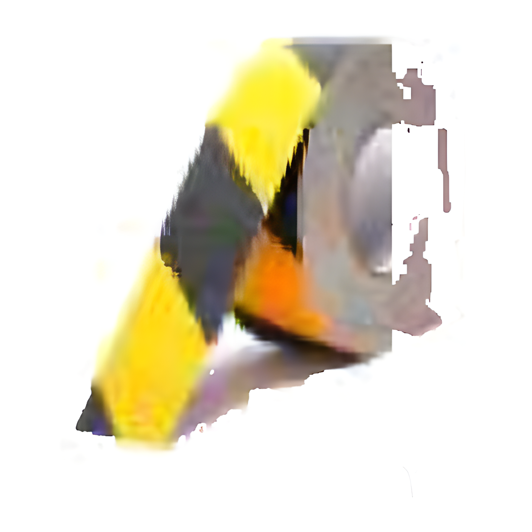 AST02 — Anti-Skid Tape (Yellow-Black Zebra) | Tape | Seasonlite